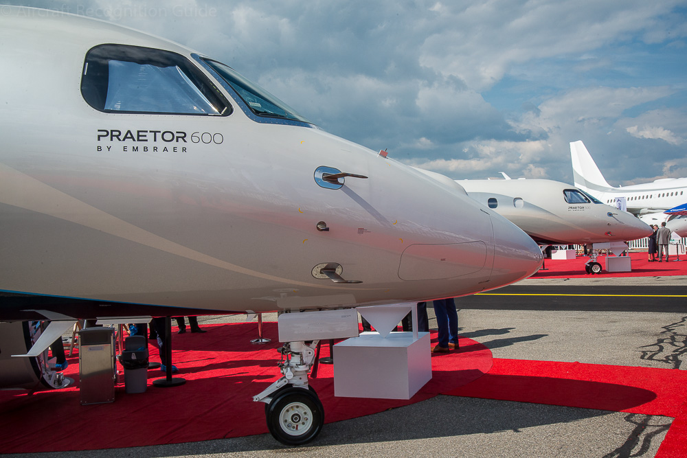 The streamlined nose is nothing special, but still distinct enough to be used for recognition. Image