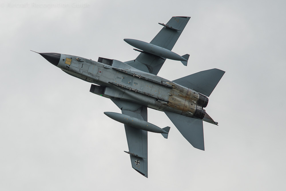 This underside shot shows the wings in the position with the least sweep. Image